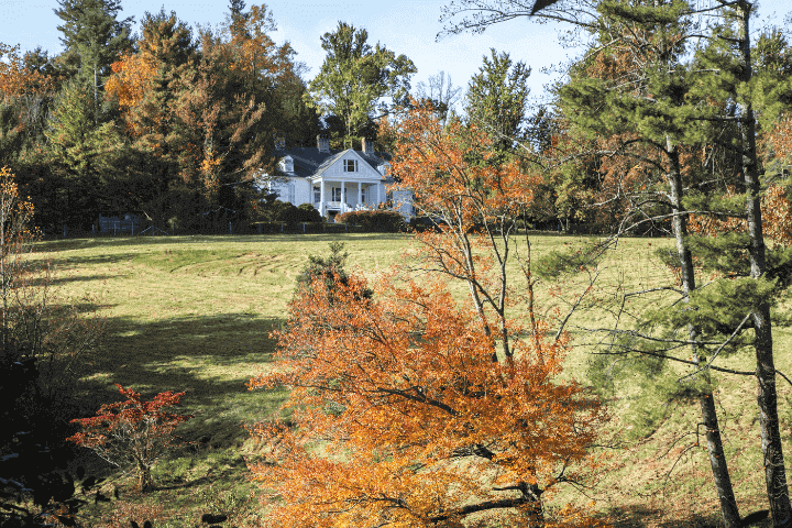 are dogs allowed at carl sandburg home